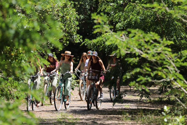 velo-location-seignosse velo-location-seignosse